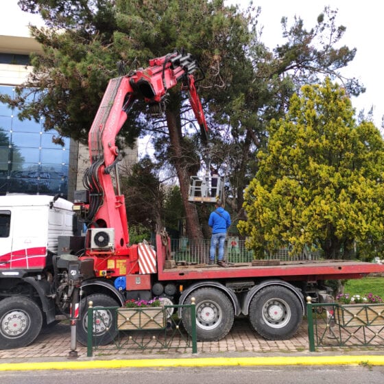 Κλάδεμα Δέντρων στον Δήμο Αμαρουσίου - Δημόσιο Έργο - ΟΔΙΟΣ Τεχνική, Κατασκευαστική