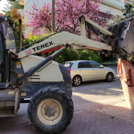 Κλάδεμα Δέντρων στον Δήμο Αμαρουσίου - Δημόσιο Έργο - ΟΔΙΟΣ Τεχνική, Κατασκευαστική